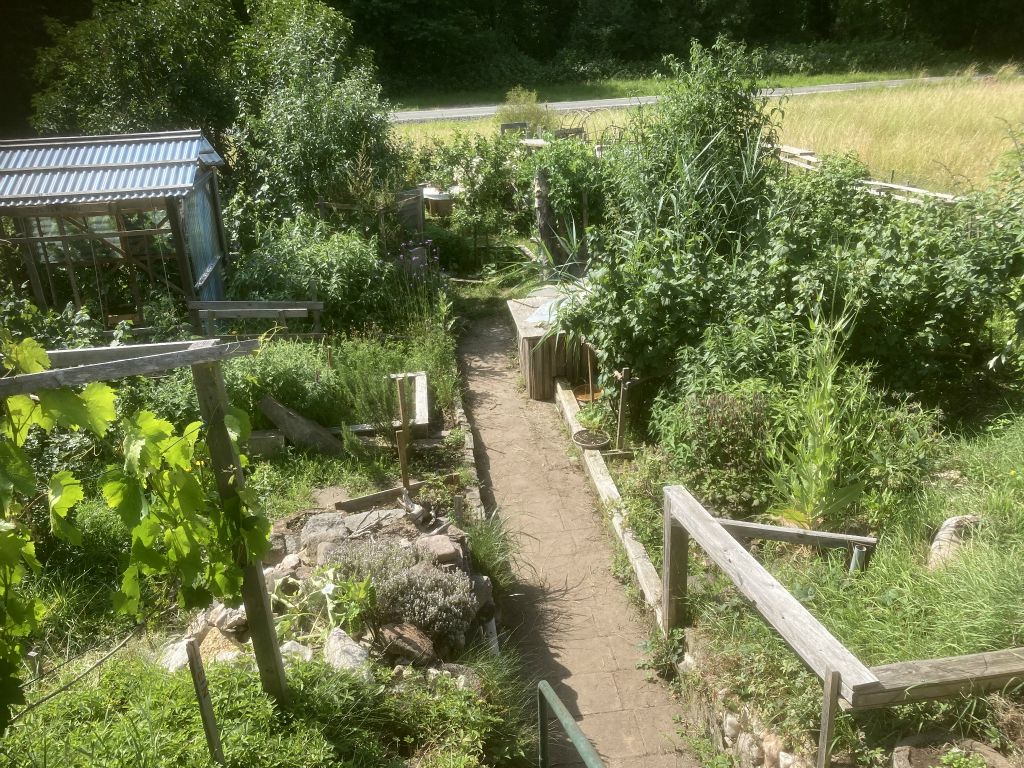 Galeriebilder
